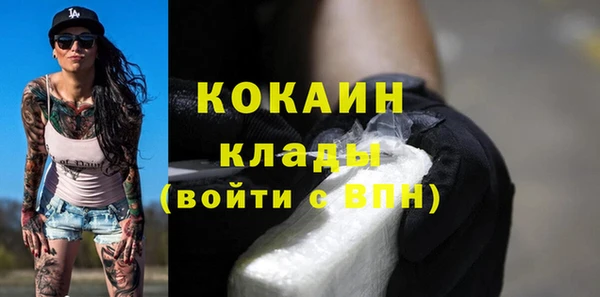 индика Балахна