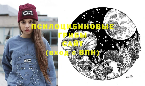 индика Балахна