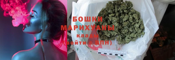индика Балахна