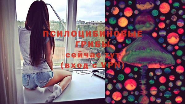 шишки Баксан