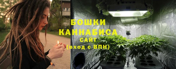 шишки Баксан