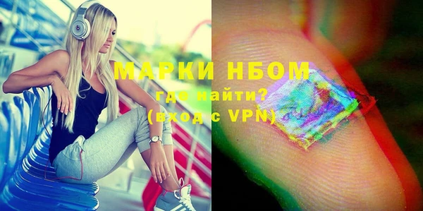 индика Балахна