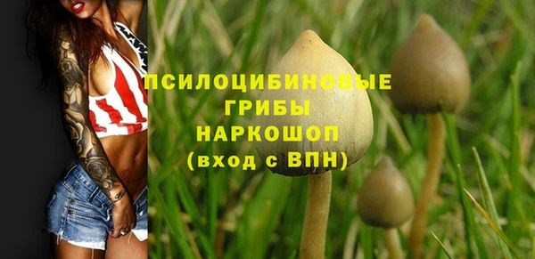 шишки Баксан
